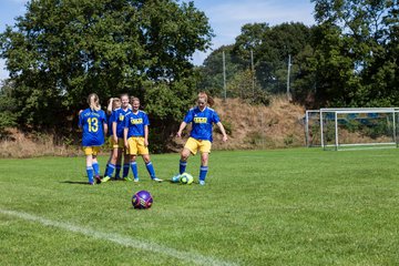 Bild 35 - Frauen TSV Gnutz - SG Slfeld/Oe/Se/Stu : Ergebnis: 2:3